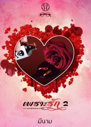因为爱2 Because of Love 2